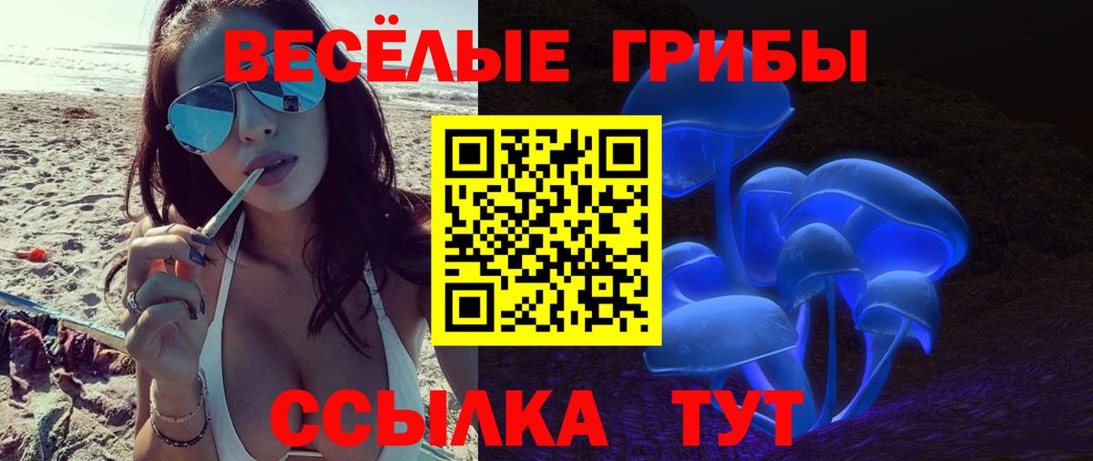 Галлюциногенные грибы прущие грибы Братск